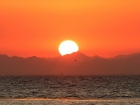 sunset-web