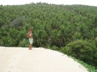 palms