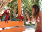 Karine-Parrot