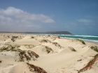 sharkbay